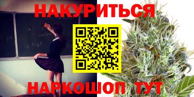 прущие грибы Новодвинск