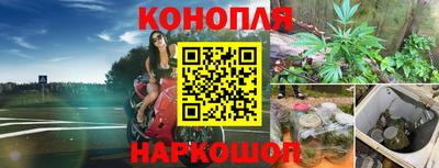 ALPHA PVP Новозыбков