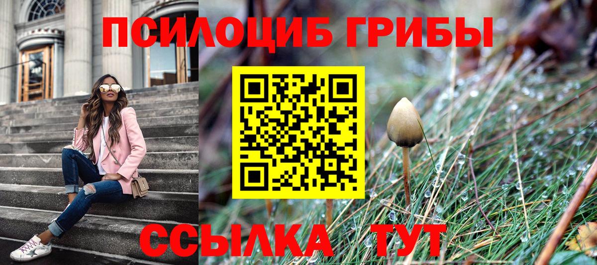 Псилоцибиновые грибы GOLDEN TEACHER  Псилоцибиновые грибы GOLDEN TEACHER  Мыски  Вход с VPN 